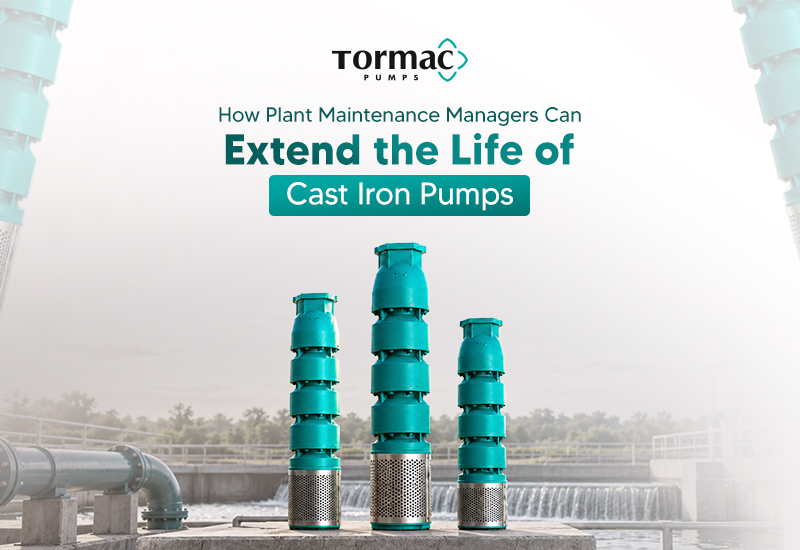 How Plant Maintenance Managers Can Extend the Life of Cast Iron Pumps